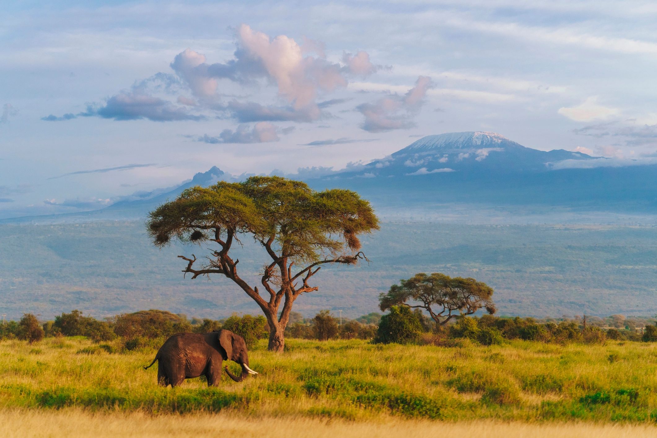 Africa
