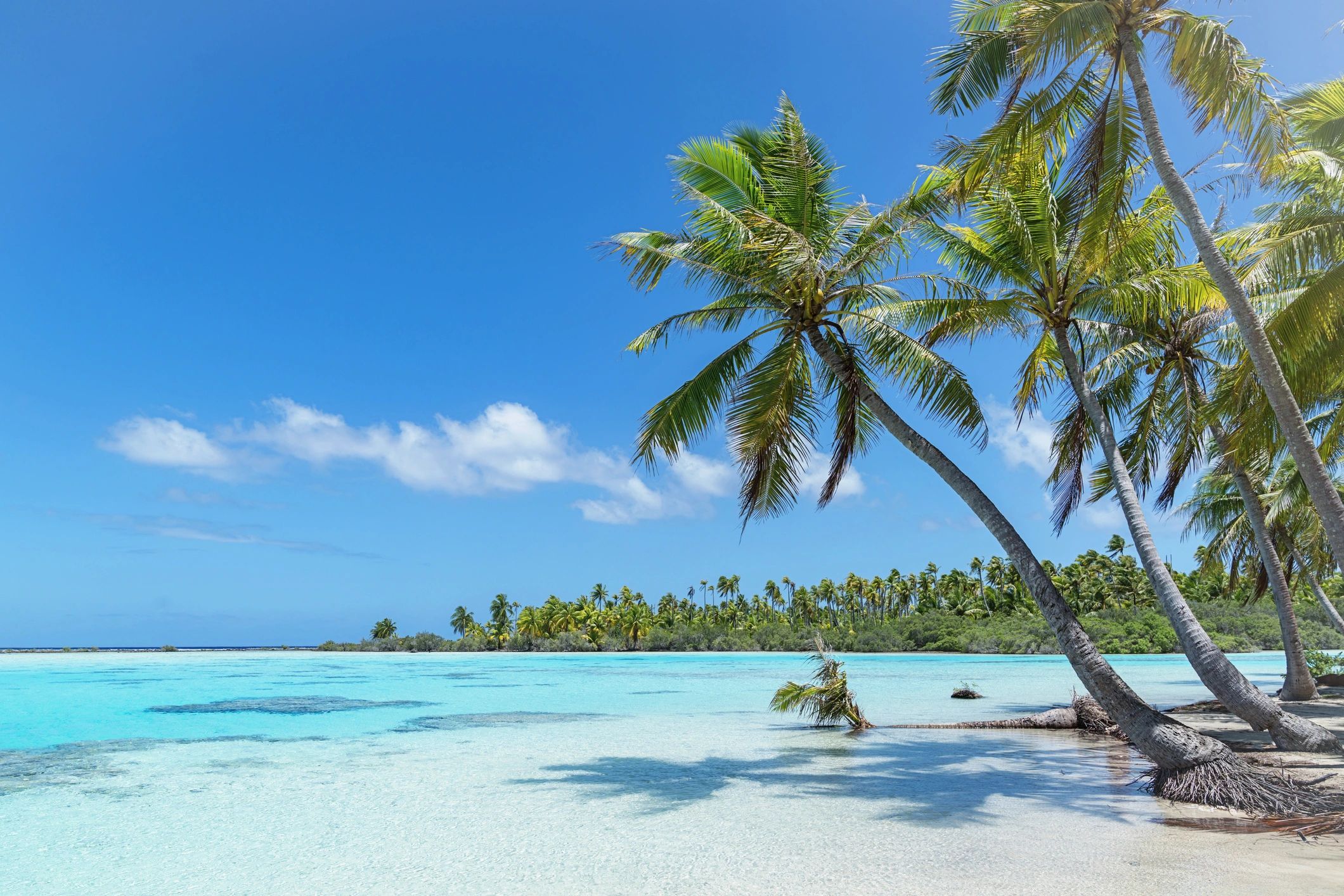 Caribbean & Mexico